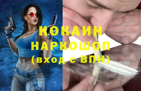 СК Алексин
