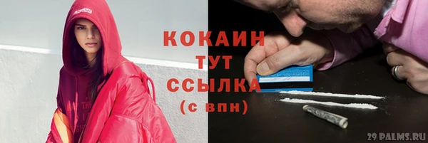 СК Алексин