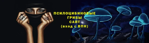 СК Алексин