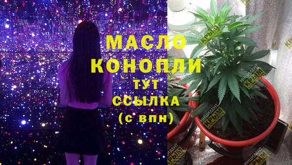 СК Алексин