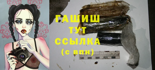 СК Алексин