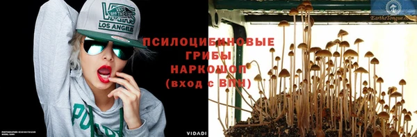 СК Алексин